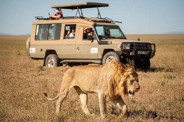 Safari game drive near OSOTUA Villa 18